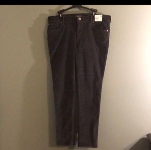NWT EXPRESS ankle Leggings mid rise Sz 14